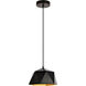 Arden 1 Light 10 inch Black with Golden Inside Pendant Ceiling Light