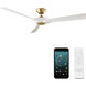 Torque 58.00 inch Indoor Ceiling Fan
