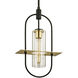 Smyth 1 Light 12.5 inch Dark Bronze And Brushed Brass Outdoor Pendant