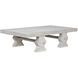 Suzu 70 X 38 inch White Wash Coffee Table