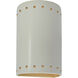 Ambiance Collection LED 9.5 inch Matte White/Champagne Gold Outdoor Wall Sconce