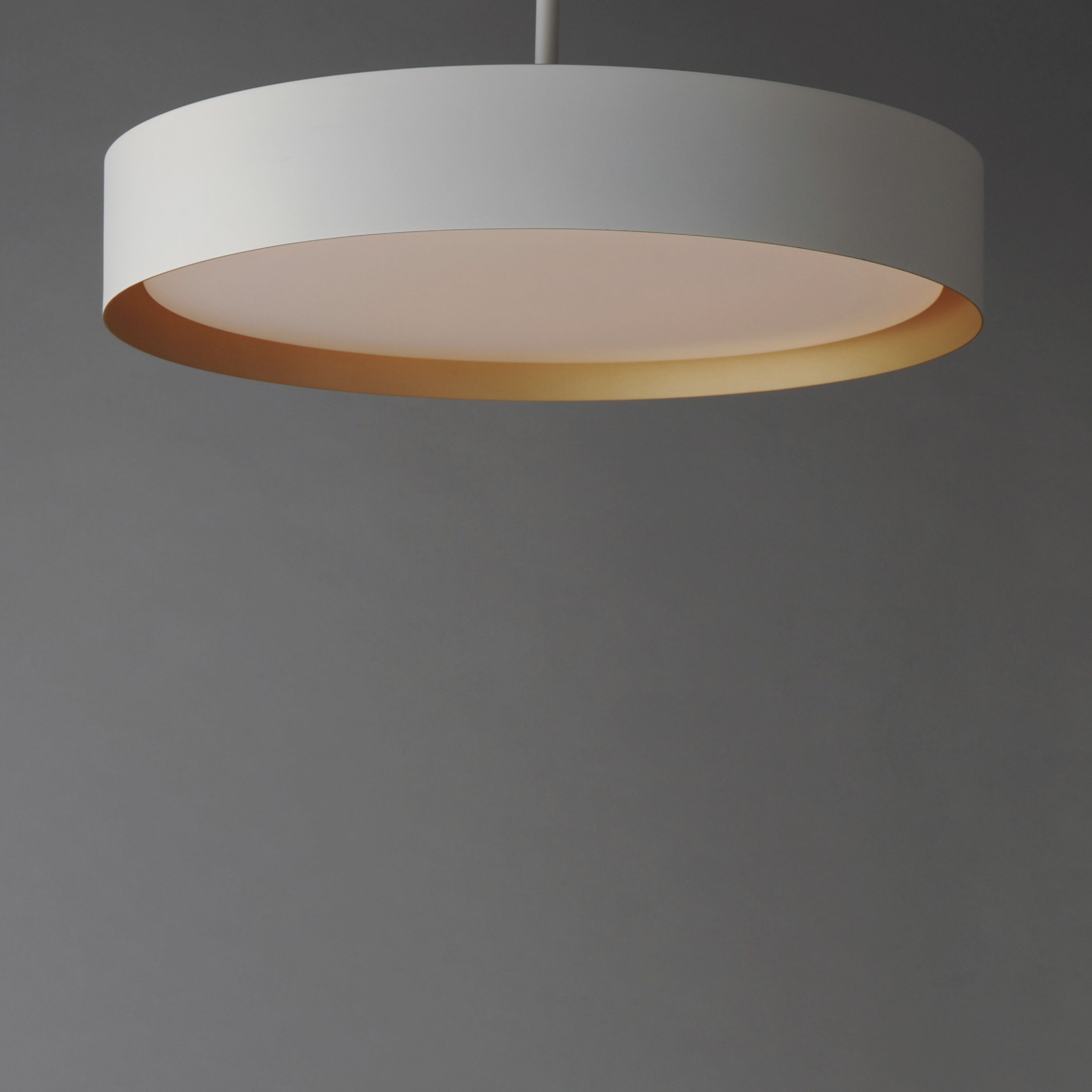 Echo LED 24 inch White/Gold Single Pendant Ceiling Light
