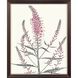 Pink Veronique Pink and Green and Multi Framed Art, Propac