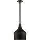 Modern 1 Light 10.5 inch Oil Rubbed Bronze Pendant Ceiling Light