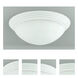 Signature 2 Light 16 inch White Flushmount Ceiling Light