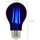 Lumos LED Medium 6.50 watt Type A