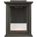 Audley LED 10 inch Antique Bronze Outdoor Wall Lantern in Clear Glass, Small
