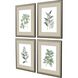 Florals Collection Green Framed Art