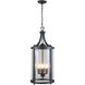 Niagara 6 Light 13.75 inch Hammered Black Outdoor Pendant