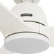 Malden 52 inch Matte White Ceiling Fan