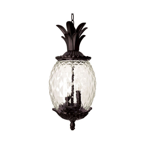 Lanai 3 Light 10 inch Black Coral Exterior Hanging Lantern