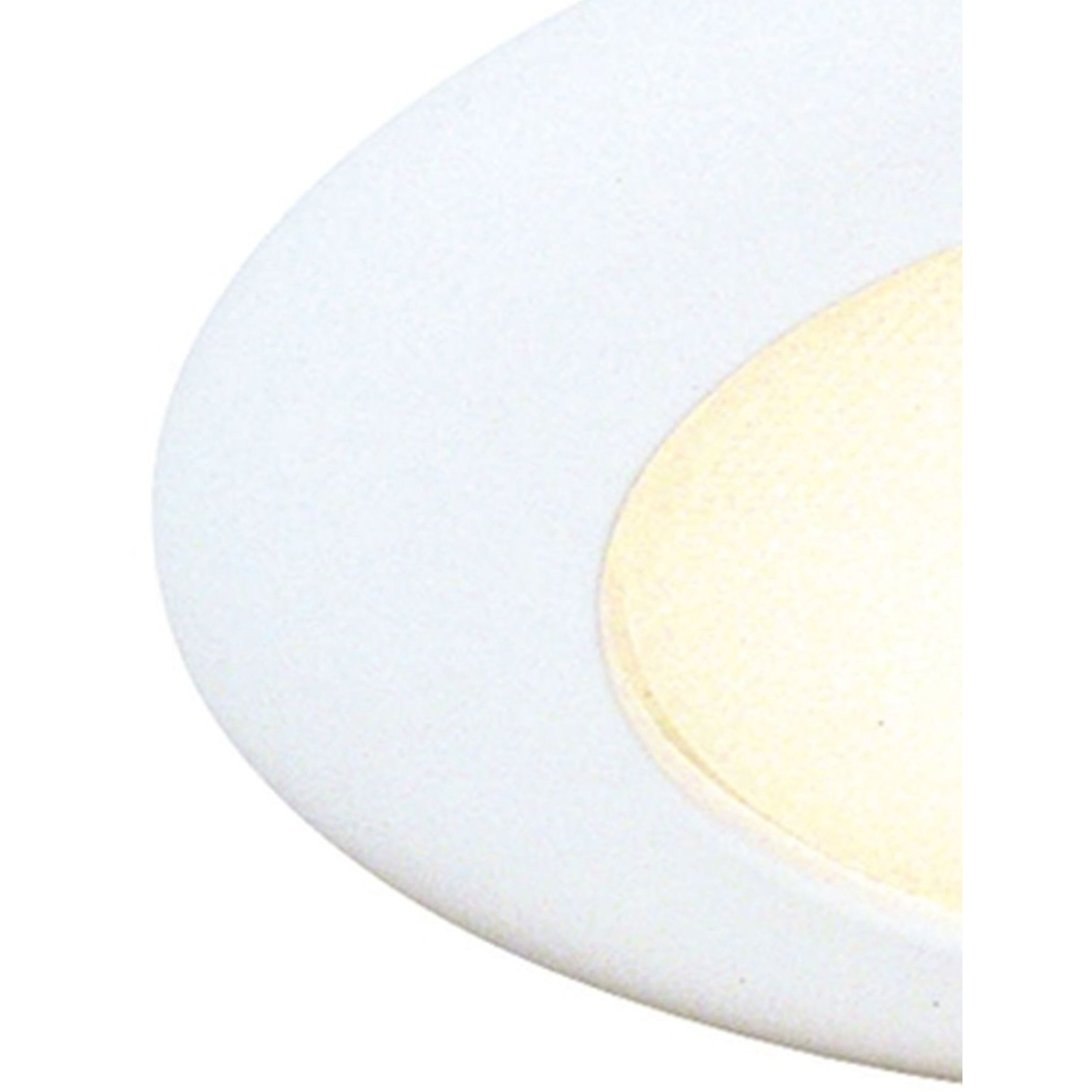 Scope White Recessed Light