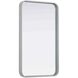 Remy 30 X 18 inch Silver Mirror