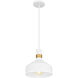 Arbor 1 Light 10 inch Matte White Mini Pendant Ceiling Light, Small