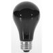 Lumos Incandescent A19 Medium E26 75 watt 120V Light Bulb