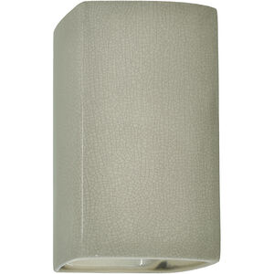 Ambiance Collection LED 14 inch Celadon Green Crackle Outdoor Wall Sconce