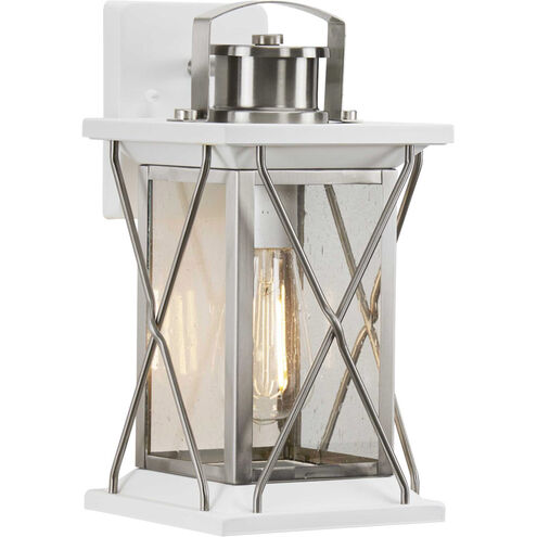 Barlowe 1 Light 13 inch Stainless Steel Outdoor Wall Lantern, Small