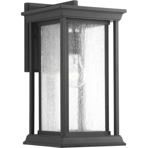 Endicott 1 Light 14.25 inch Textured Black Outdoor Wall Lantern, Medium