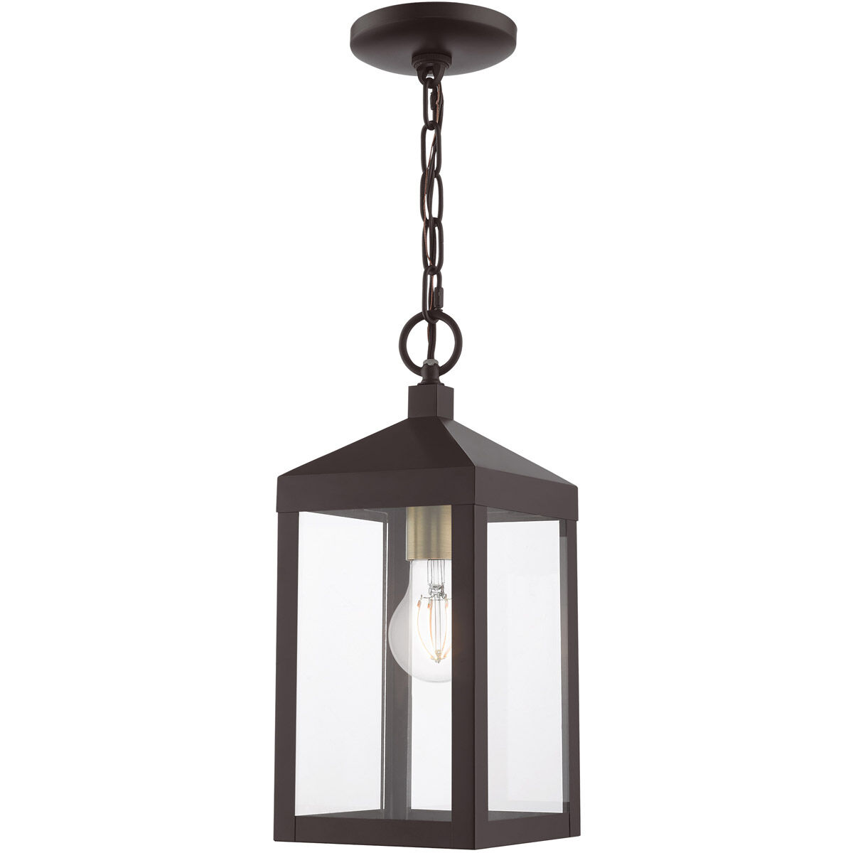 Nyack 1 Light 6.25 inch Bronze with Antique Brass Cluser Outdoor Pendant Lantern
