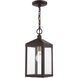 Nyack 1 Light 6.25 inch Bronze with Antique Brass Cluser Outdoor Pendant Lantern