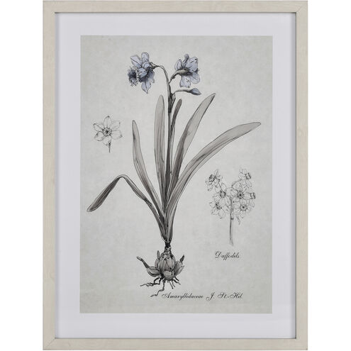 Daffodil Botanic Cream with Off White Framed Wall Art