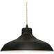 Radiance 1 Light 13.5 inch Carbon Matte Black and Matte Black Pendant Ceiling Light