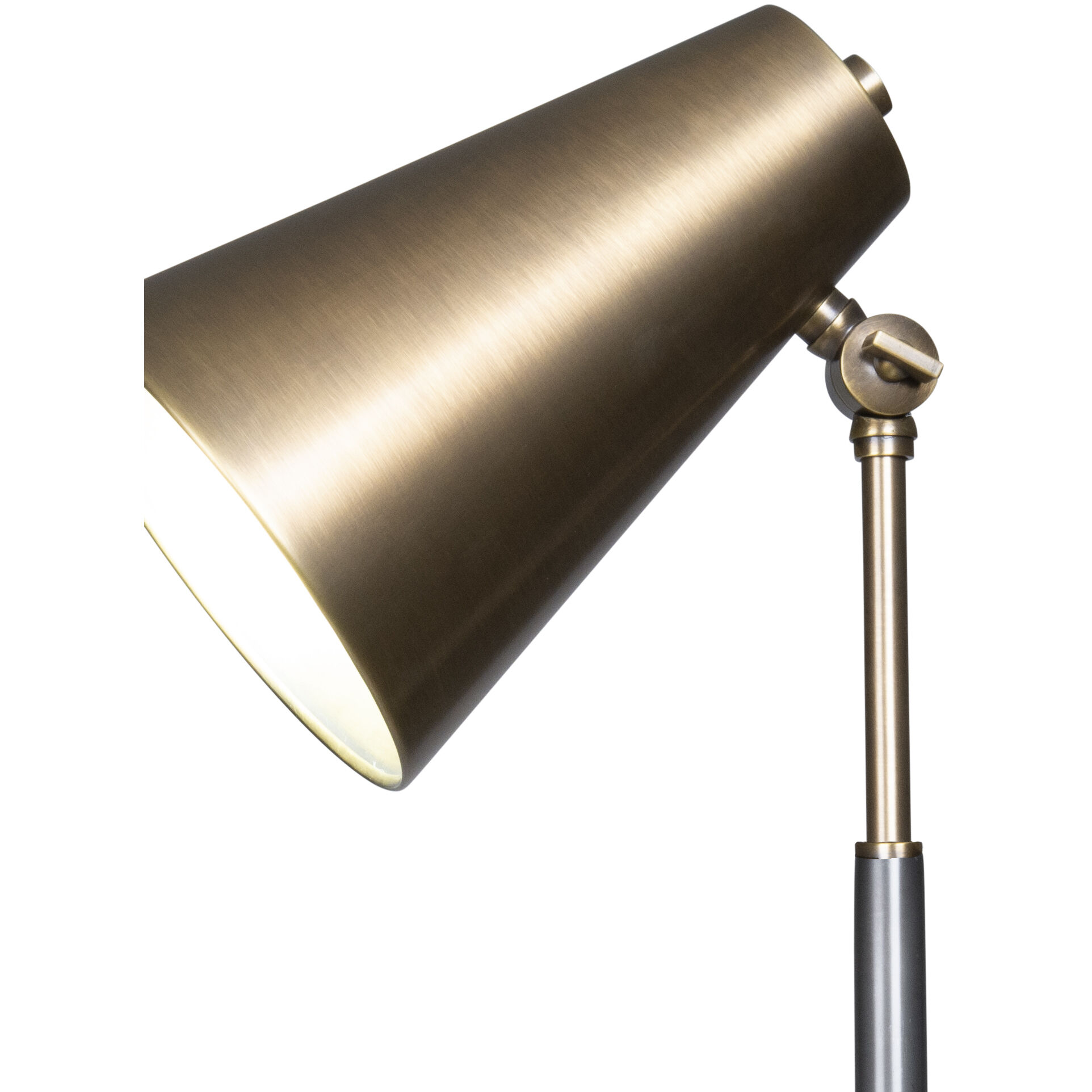 Maggie 65.5 inch 60.00 watt Antique Brass Floor Lamp Portable Light