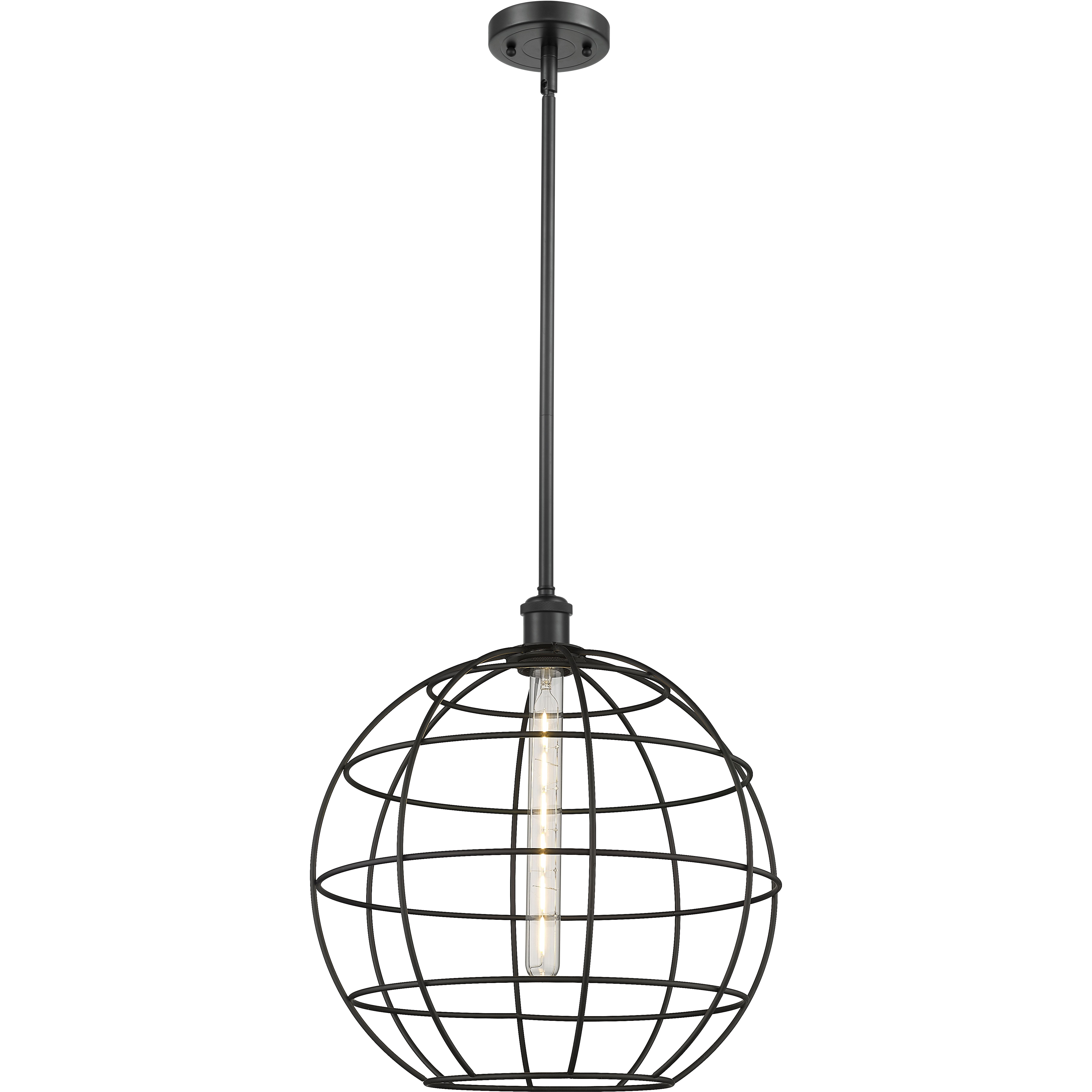 Lake Placid 1 Light 16 inch Matte Black Pendant Ceiling Light