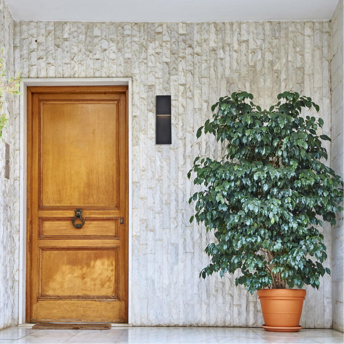 Raine 16 inch Black Outdoor Wall Light