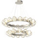 Gem LED 48.3 inch Beige Silver Chandelier Ceiling Light, Radial Ring Two Tier