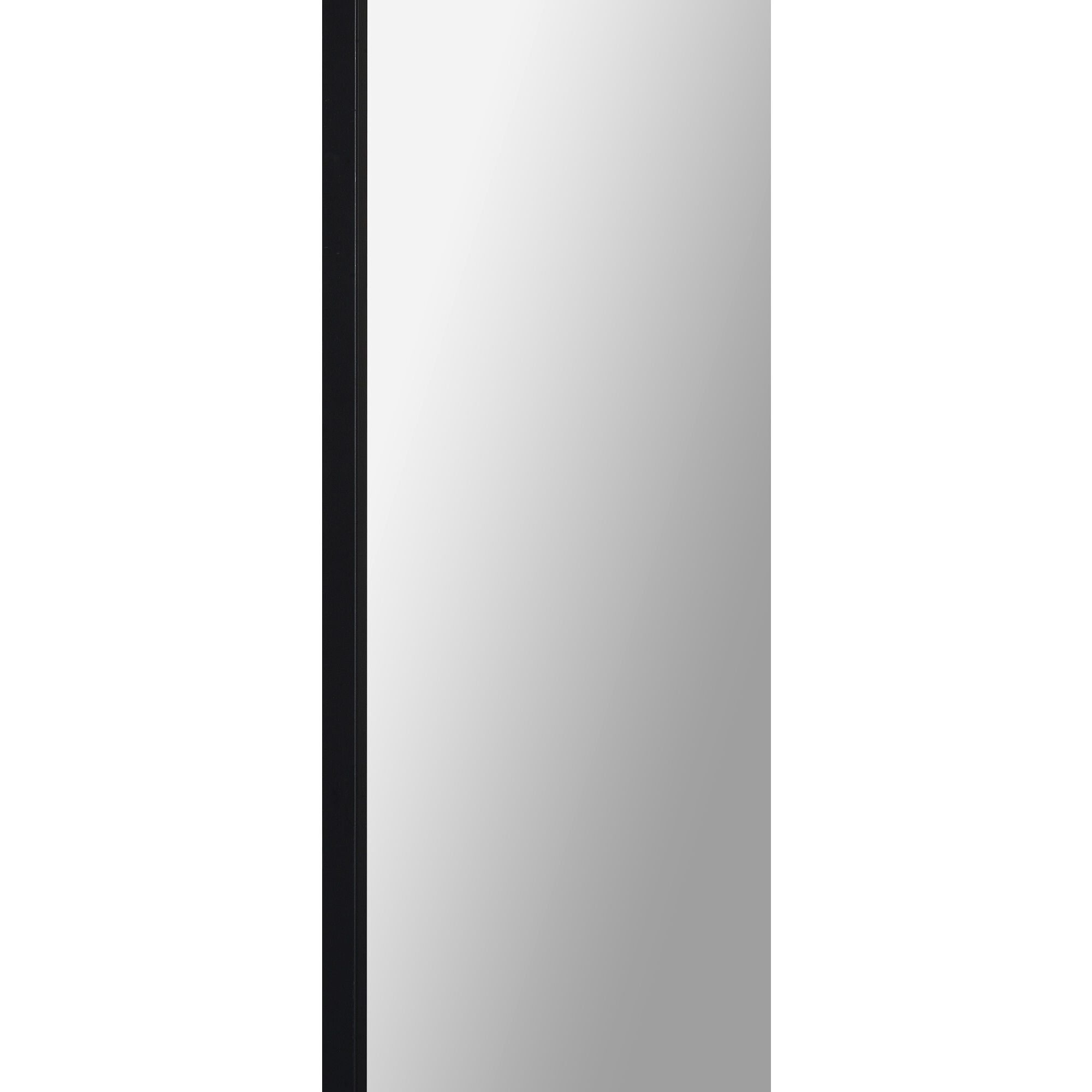 Mandret 72 X 30 inch Black Full Length Wall Mirror