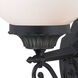 Havana 1 Light 17 inch Matte Black Exterior Wall Mount in White
