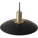 Rancho Mirage LED 15 inch Matte Black and Weathered Brass Pendant Ceiling Light, Large