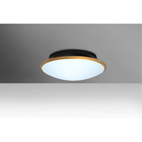 Silk 2 Light 13 inch Flush Mount Ceiling Light