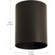 Cylinder 1 Light 5 inch Antique Bronze Outdoor Ceiling Mount Cylinder in Standard Lamping