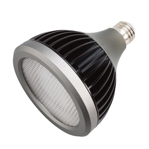Landscape LED Clear Landscape 120V-277V LED Lamps