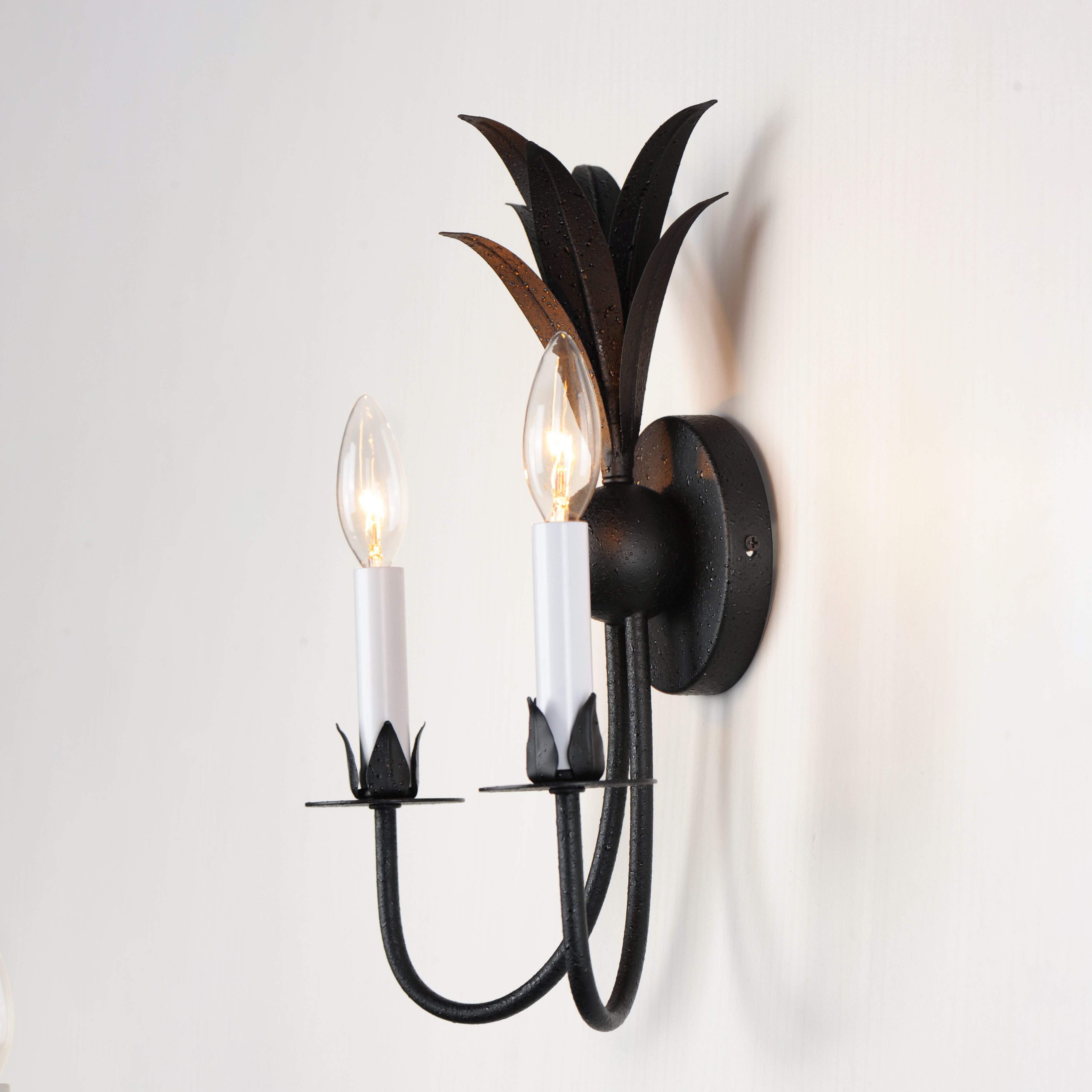 Paloma 2 Light 10.25 inch Anthracite Wall Sconce Wall Light