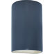 Ambiance LED 9.5 inch Midnight Sky Outdoor Wall Sconce in 1000 Lm LED, Midnight Sky/Matte White