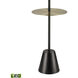 Abberwick 64 inch 9.00 watt Matte Black with Brass Floor Lamp Portable Light