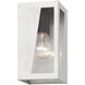 Forsyth 1 Light 8.5 inch Brushed Nickel with Black Finish Accents Outdoor Wall Lantern, Small
