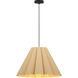 Lora 1 Light 22.8 inch Black Pendant Ceiling Light in Ash, 23 in, WEP Collection