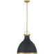 Lynk 1 Light 16.5 inch Legacy Brass and Matte Coal Pendant Ceiling Light