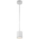 Tube LED 5 inch White Mini Pendant Ceiling Light