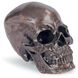 Skull 6.25 X 5 inch Sculpture