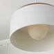 Liam 1 Light 18 inch Light Wood and White Pendant Ceiling Light