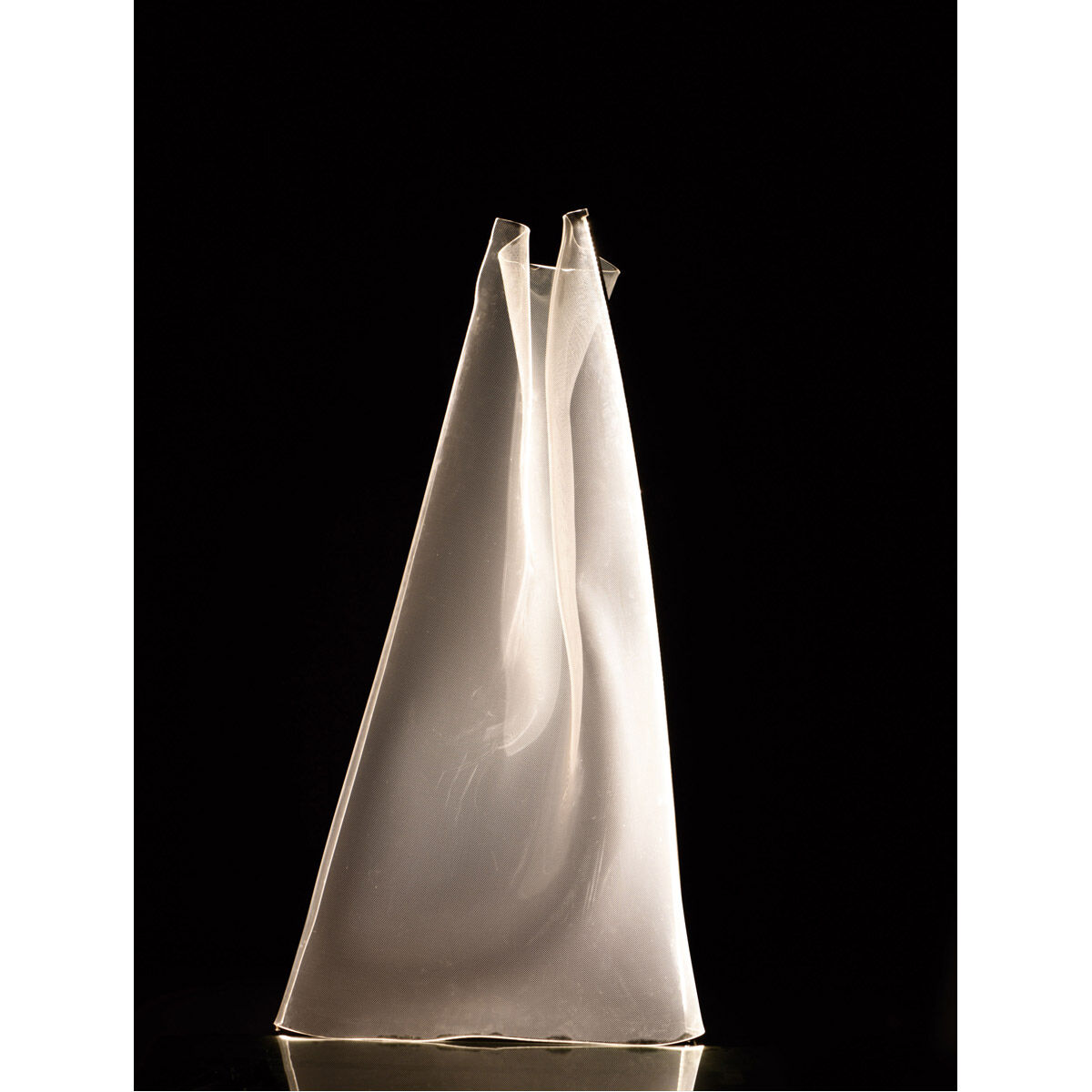 Rinkle 55 inch 30.00 watt Polished Chrome Floor Lamp Portable Light