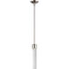 Zigrina 1 Light 5.13 inch Polished Nickel Pendant Ceiling Light