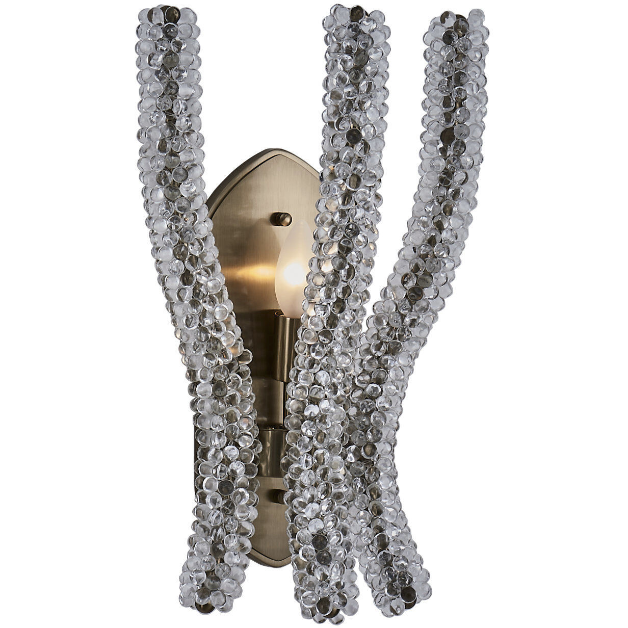 Coral Wall Sconce Wall Light in Clear