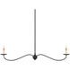 Saxon 2 Light 43.25 inch Zanzibar Black Linear Chandelier Ceiling Light