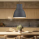 Cradle 1 Light 23.63 inch Black Pendant Ceiling Light